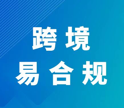 境外投资架构选择指南：个人控股与公司控股的利弊分析